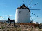 Antiparos Windmühle