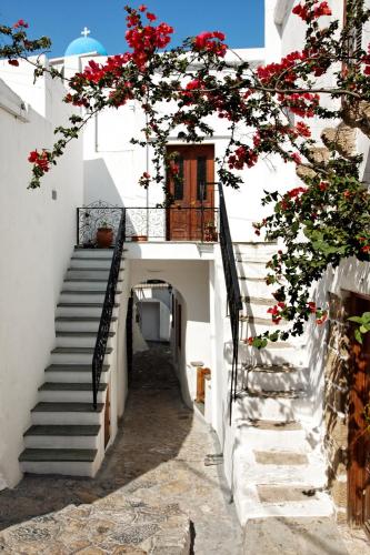 Skyros Chora Bougainville